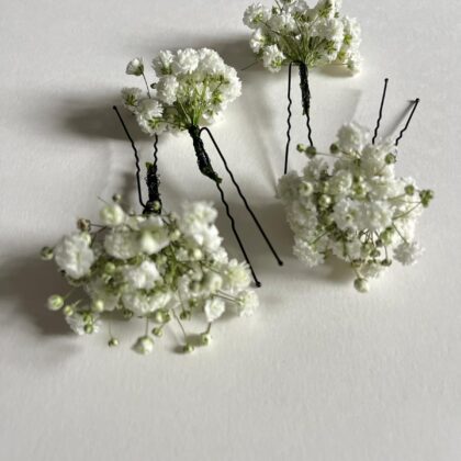 Horquilla Paniculata Edelweiss1