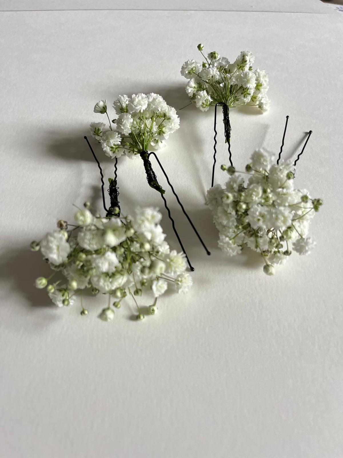 Horquilla Paniculata Edelweiss1