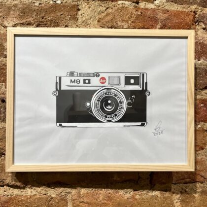 Cuadro cámara Edelweiss