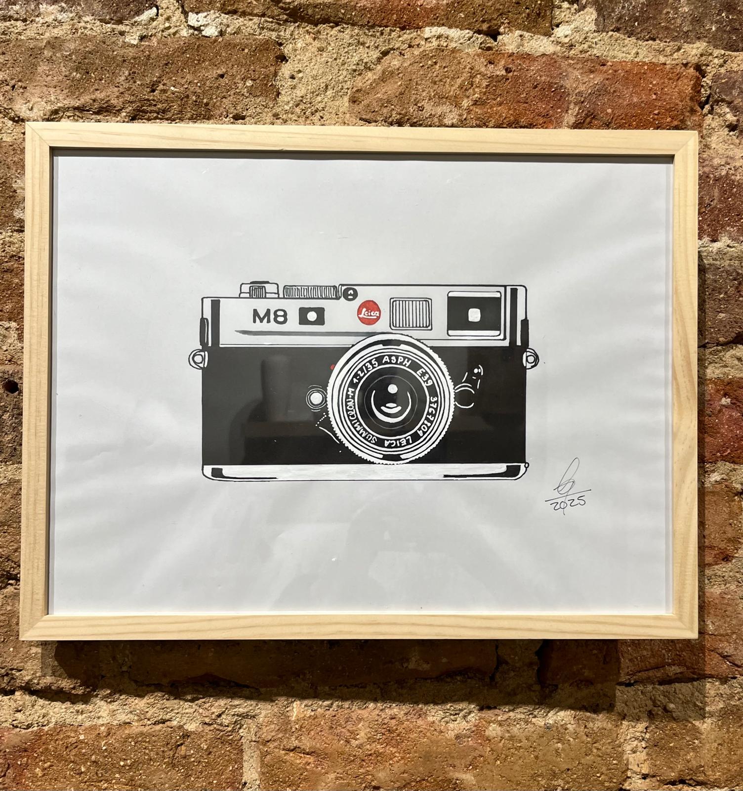 Cuadro cámara Edelweiss