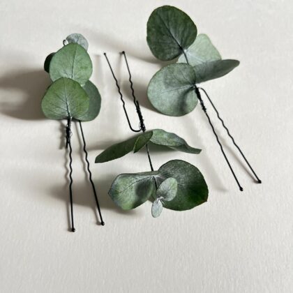 Horquilla de eucalipto 3