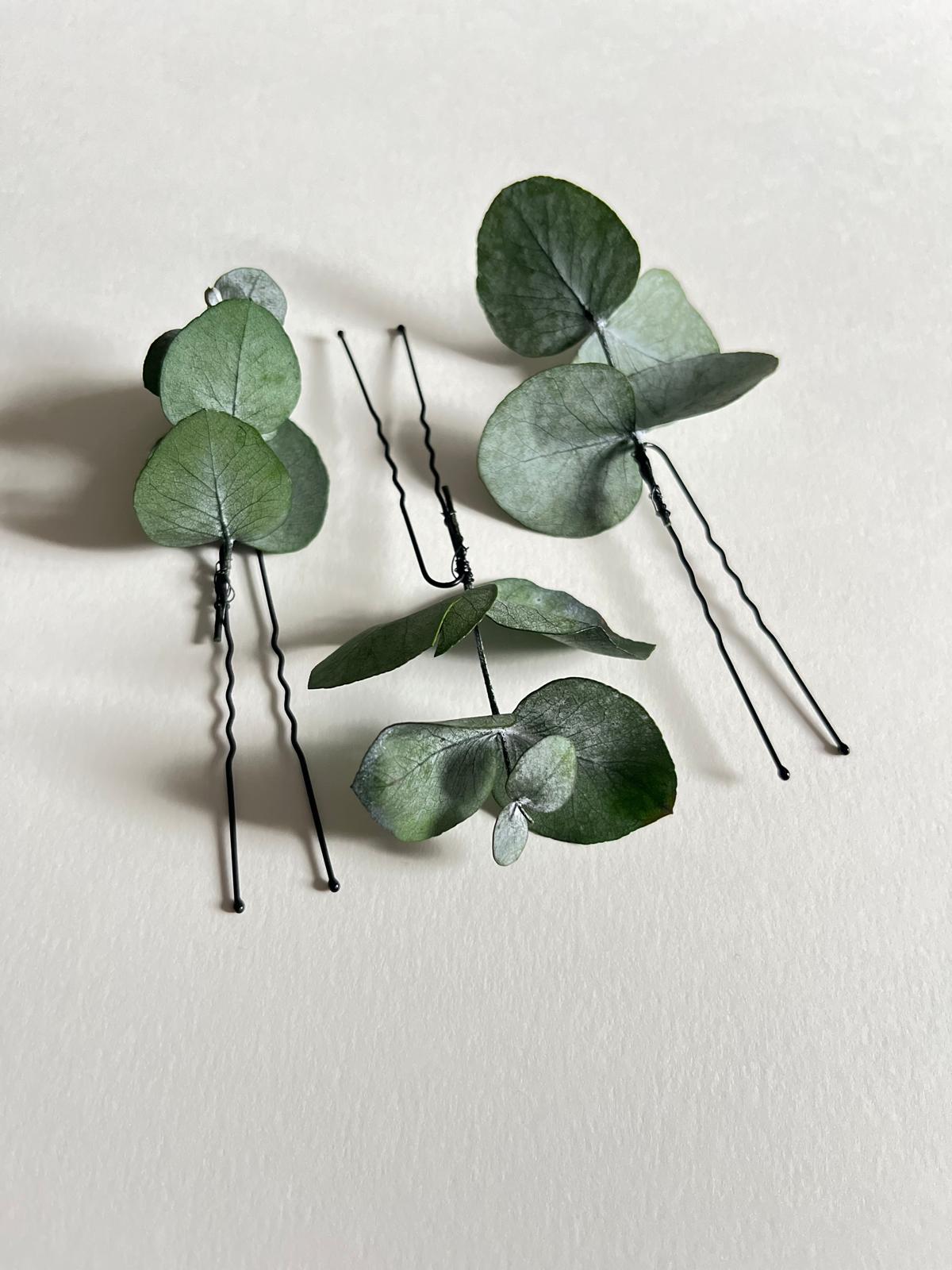 Horquilla de eucalipto 3