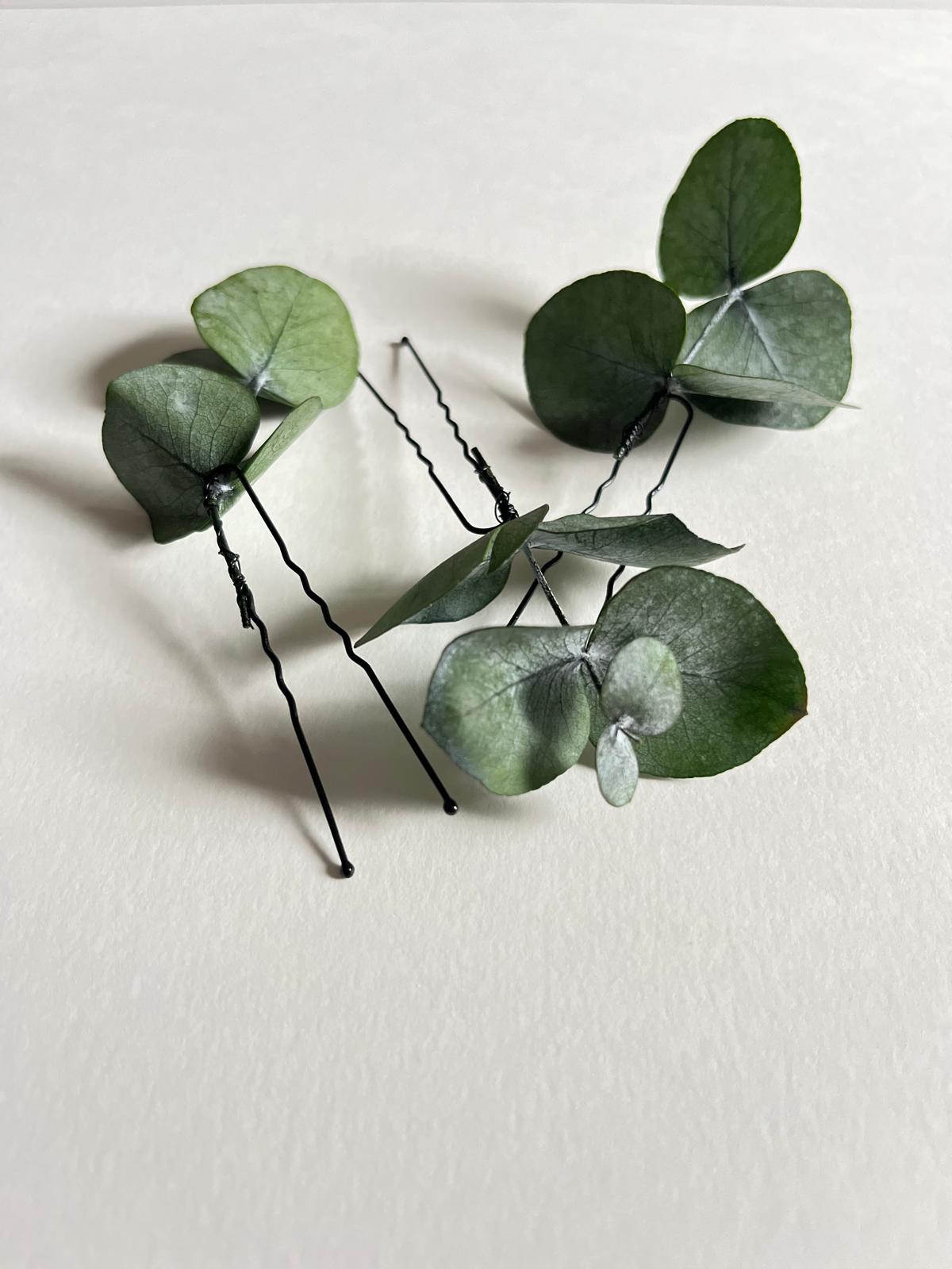 Horquilla de eucalipto