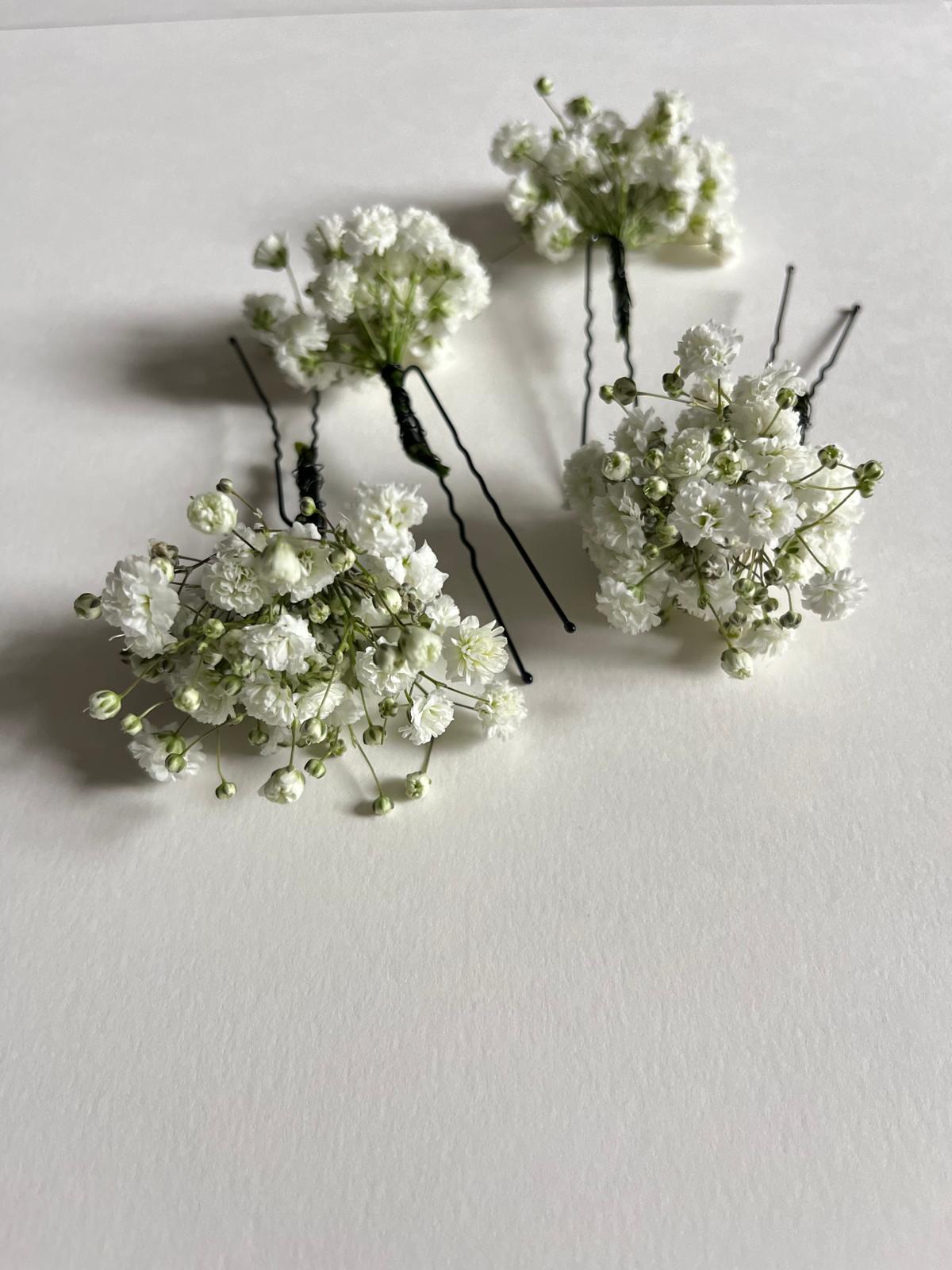 Horquilla paniculata Edelweiss 2