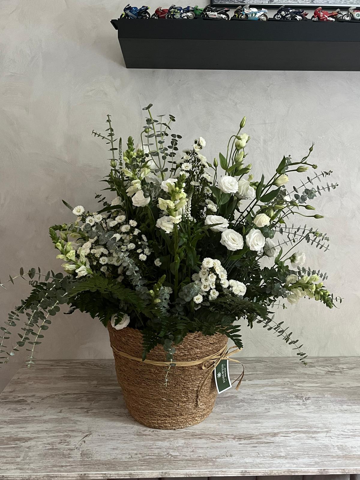 Centros xxl fresco blanco 2